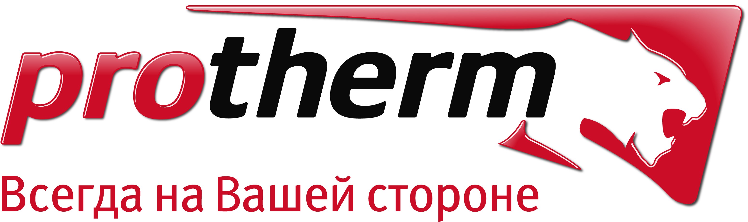 Логотип компании Протерм